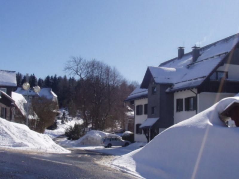 Ferienwohnung Am Kurpark Braunlage Exterior photo